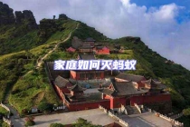 家庭如何滅螞蟻