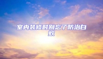 室內(nèi)裝修時別忘了防治白蟻