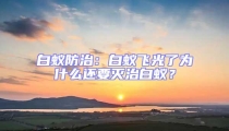 白蟻防治：白蟻飛光了為什么還要滅治白蟻？