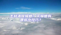 怎樣清除蟑螂？滅蟑螂有哪些小技巧？
