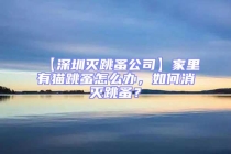 【深圳滅跳蚤公司】家里有貓?zhí)樵趺崔k，如何消滅跳蚤？