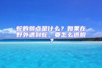 蛇的弱點是什么？如果在野外遇到蛇，要怎么逃脫？