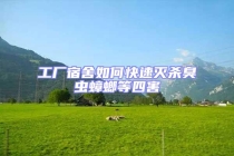 工廠宿舍如何快速滅殺臭蟲(chóng)蟑螂等四害