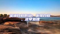 深圳白蟻防治：發現白蟻、及早處理