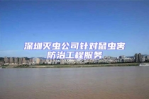 深圳滅蟲(chóng)公司針對(duì)鼠蟲(chóng)害防治工程服務(wù)