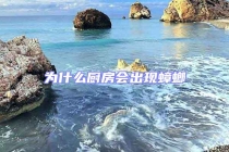 為什么廚房會出現蟑螂