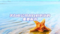 滅白蟻公司對白蟻防治的重要解答