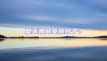 夏天如何驅除蚊子？