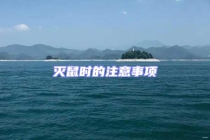 滅鼠時的注意事項