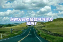 醫院發現老鼠如何消滅及預防？