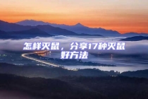 怎樣滅鼠，分享17種滅鼠好方法