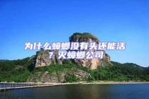 為什么蟑螂沒(méi)有頭還能活？滅蟑螂公司