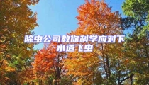 除蟲公司教你科學應對下水道飛蟲