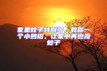 家里蚊子特別多，教你一個小妙招，讓家中再也沒蚊子