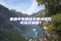 家庭中有哪些實用小技巧可以滅蟑螂？