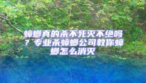 蟑螂真的殺不死滅不絕嗎？專業(yè)殺蟑螂公司教你蟑螂怎么消滅