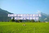 白蟻防治最佳方法是什么？滅白蟻公司有奇招