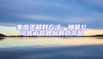 家庭滅鼠好方法，捕鼠公司告訴你如何有效滅鼠
