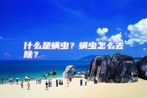 什么是螨蟲？螨蟲怎么去除？