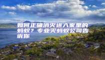 如何正確消滅進入家里的螞蟻？專業(yè)滅螞蟻公司告訴你