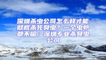 深圳殺蟲公司怎么樣才能徹底殺死臭蟲？一個蟲卵都不留；深圳專業(yè)殺臭蟲公司