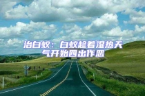 治白蟻：白蟻趁著濕熱天氣開始四出作惡