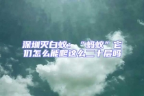 深圳滅白蟻：“螞蟻”它們?cè)趺茨芘肋@么二十層嗎
