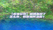 【殺蟲公司】被跳蚤咬了怎么辦，教你如何急救？