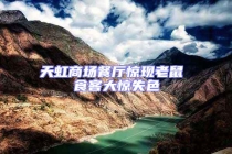 天虹商場餐廳驚現老鼠 食客大驚失色