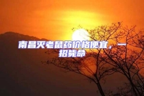 南昌滅老鼠藥價格便宜，一招斃命