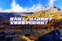 夏天到了，討人厭的蚊子又要圍著孕婦們轉(zhuǎn)悠了