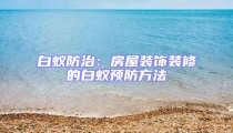 白蟻防治：房屋裝飾裝修的白蟻預防方法