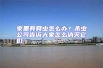 家里有臭蟲怎么辦？殺蟲公司告訴大家怎么消滅它們