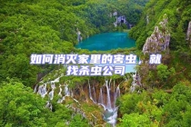 如何消滅家里的害蟲，就找殺蟲公司