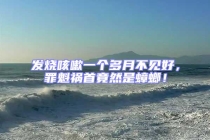 發燒咳嗽一個多月不見好，罪魁禍首竟然是蟑螂！