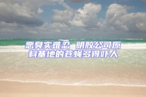 惡臭實(shí)難忍 明膠公司原料基地的蒼蠅多得嚇人