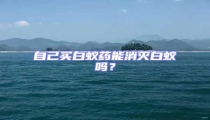 自己買白蟻藥能消滅白蟻嗎？