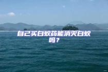 自己買白蟻藥能消滅白蟻嗎？
