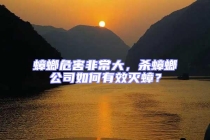 蟑螂危害非常大，殺蟑螂公司如何有效滅蟑？