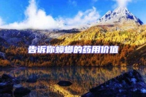 告訴你蟑螂的藥用價(jià)值