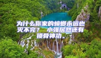 為什么你家的蟑螂永遠(yuǎn)也滅不完？ 小強(qiáng)居然還有鎖骨神功。