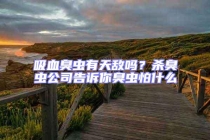 吸血臭蟲有天敵嗎？殺臭蟲公司告訴你臭蟲怕什么