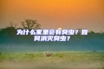 為什么家里會有臭蟲？如何消滅臭蟲？