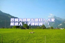 蒼蠅為啥那么難打？人家能進入“子彈時間”！