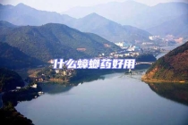 什么蟑螂藥好用