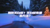 如何滅白蟻？滅白蟻有哪些方法？