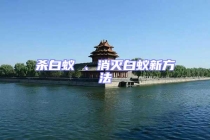 殺白蟻 、消滅白蟻新方法