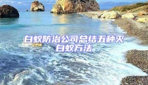 白蟻防治公司總結五種滅白蟻方法