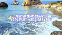 【龍崗殺蟲滅鼠公司】白蟻的危害，怎么除白蟻？