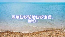 深圳白蟻防治白蟻來(lái)襲，當(dāng)心！